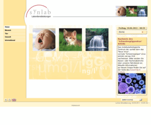 gynlab.net: synlab Labordienstleistungen: Home
Labordienstleistungen für Mensch, Tier und Umwelt. synlab Labordienstleistungen informiert über Labordienstleistungen, Analyseverfahren, Untersuchungsprogramme und Laborstandorte. Neues zu Gesundheit, Mensch, Tier und Umwelt.