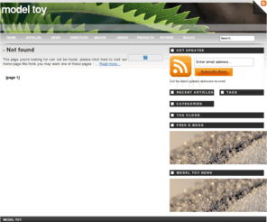 model-toy.net: Model Toy
