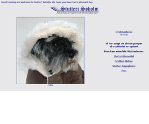 minishetland.dk: Stutteri Søholm
Avl og salg af Shetlandsponyer