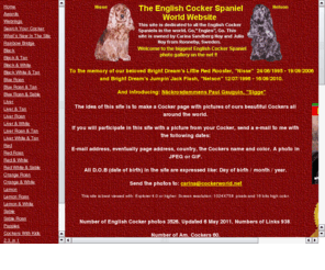 cockerworld.net: The English Cocker Spaniel  World Website
English Cocker Spaniels pictures from owners and kennels all around the world and links