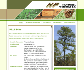 pitch-pine.com: Pitch Pine
 Pitch Pine