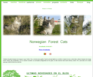 valdecambs.com: Bosques de Noruega - Val de Cambs - Criadores Gatos Bosque de Noruega
Criadores gatos de raza bosque de noruega en galicia. Criadero serio y familiar. Cría y venta de pocos gatitos para cuidar bien a nuestros Noruegos