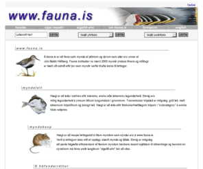 fauna.is: Plaköt af sjávarspendýrum. Hvalir við Ísland. Afmælisgjafir. Teikningar af farfuglum. Myndabanki. Vatnslitamyndir. Fiskategundir.
Yfirgripsmikill myndabanki með teikningum eftir Jón Baldur Hlíðberg. Vatnslitamyndir af lífríki Íslands.