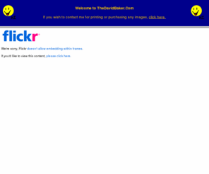 baker-david.com: Photo Home Page for David Baker
Photo home page for David Baker