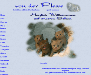 scottishfold.net: Britisch Kurzhaar Rassekatzen/Scottisch Fold von der Plesse
Wunderschöne Britisch Kurzhaar und Scottisch Fold Kitten & Katzen von der Cattery von der Plesse, speziell in den Farben chocolate,lilac,blue, cinnamon und fawn.