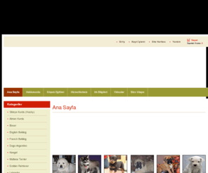 kopekk.com: Satılık Köpekler - Rottweiller,Kangal,Golden,Alman Kurdu,Sibirya Kurdu,Dogo,Köpek Mamaları,Yavru Köpek Maması,rotweiler,kankal,Köpek ilanları,köpek fiyatları - Kangal,Alman Kurdu,Rottweiller,Golden Retriever,Sibirya Kurdu,Husky,Köpek Maması,Köpek Mamaları,kangal yavrusu,sivas kangalı,satılık kangal,Yavru Köpek Satışı,Köpek Eğitimi
Rottweiller,kangal,satılık köpek,köpek,golden retriever,köpek ilanları,köpek fiyatları,alman kurdu,golden retriver,rotweiler,kangal,sibirya kurdu,doberman,bulldog,terrier,dogo argentino,satılık yavru köpekler,köpek mamaları