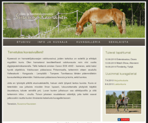 rikotut.net: www.rikotut.net
